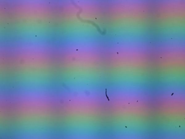 Обзор планшета XPPen Magic Note Pad, позиционируемого как блокнот для заметок