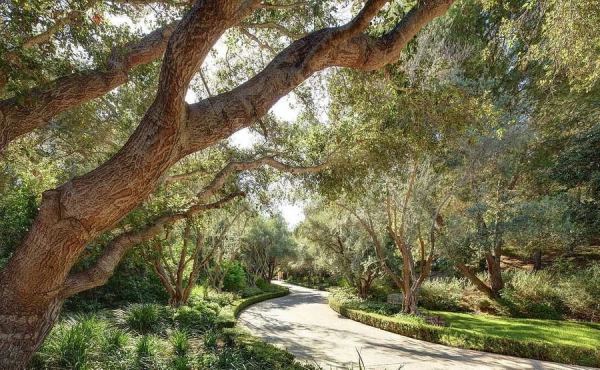 Дом Дуэйна Джонсона: как живет главный герой фильма «Царь скорпионов» Дом Дуэйна Джонсона: как живет главный герой фильма «Царь скорпионов»