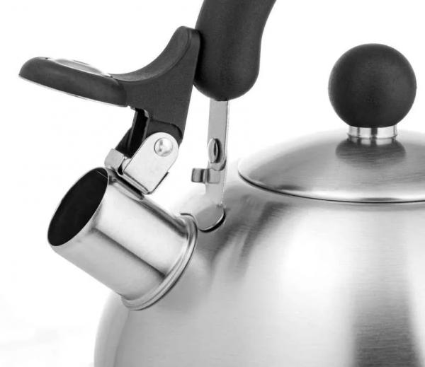 Какой чайник лучше купить для газовой плиты: выбор подходящей модели по критериям и рейтингу Какой чайник лучше купить для газовой плиты: выбор подходящей модели по критериям и рейтингу
