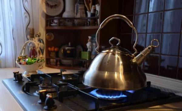 Какой чайник лучше купить для газовой плиты: выбор подходящей модели по критериям и рейтингу Какой чайник лучше купить для газовой плиты: выбор подходящей модели по критериям и рейтингу