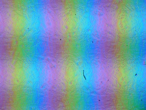 Обзор игрового ноутбука OSiO CyberLine C160i: старшая модель нового российского бренда