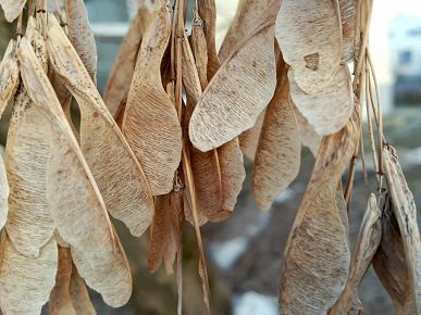 Обзор планшета Tecno Megapad 11