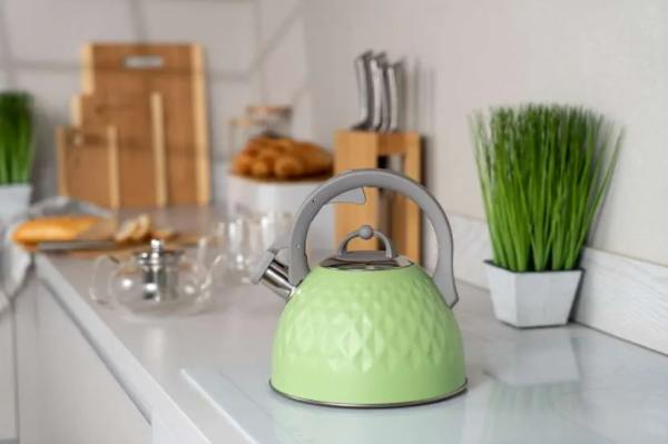 Какой чайник лучше купить для газовой плиты: выбор подходящей модели по критериям и рейтингу Какой чайник лучше купить для газовой плиты: выбор подходящей модели по критериям и рейтингу