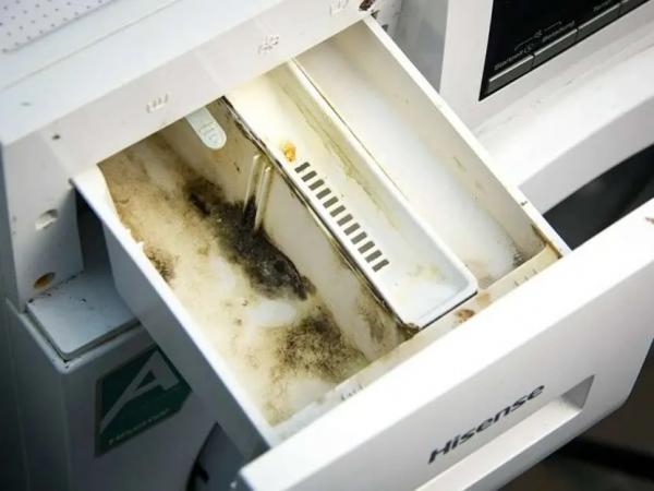 Как избавиться от плесени в стиральной машине: простые и эффективные домашние методы Как избавиться от плесени в стиральной машине: простые и эффективные домашние методы