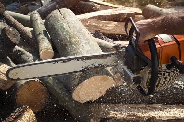 Как выбрать бензопилу, рейтинг бензиновых пил STIHL