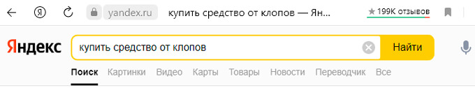 Поиск эффективных средств от клопов в интернете
